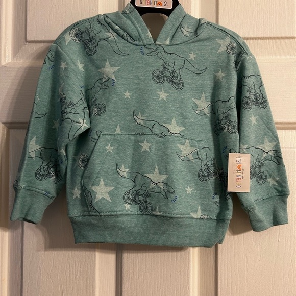 NWT Garanimals Toddler Boys Hoodie in Teal spa - Picture 2 of 3